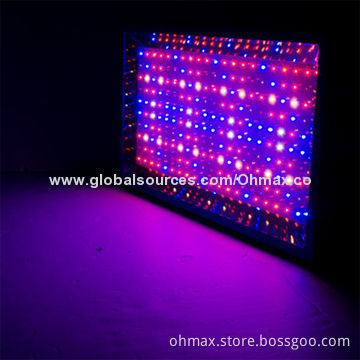 600W Hydroponic LED Grow Lights, Full Spectrum for Medicinal Indoor Plant Growth, CE/FCC/RoHS